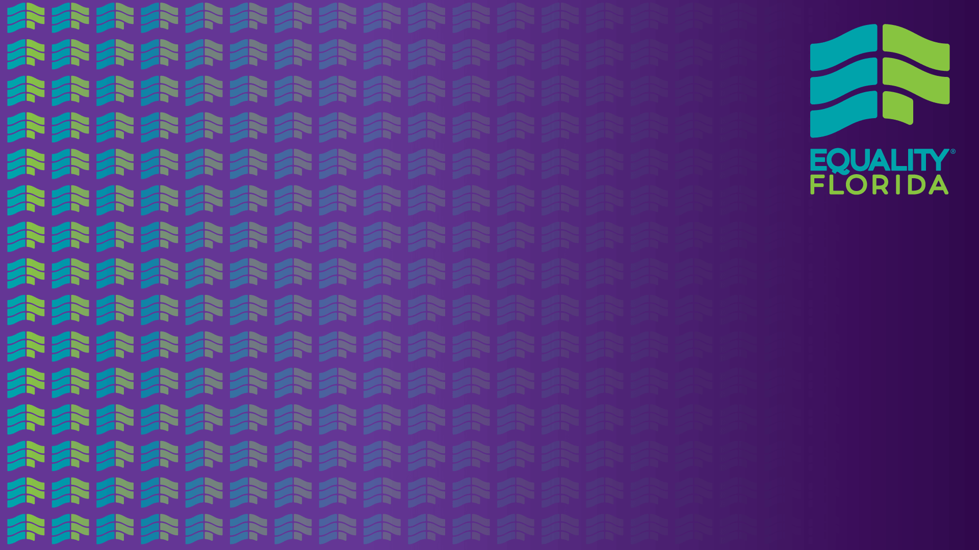 Equality Florida Background #1